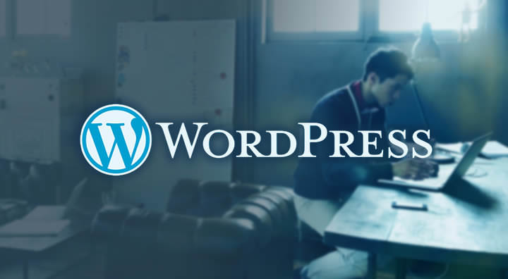 WordPress - Themes (WP)